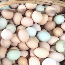 粉绿混装，精品土鸡蛋，日捡日发，全国各地发货
