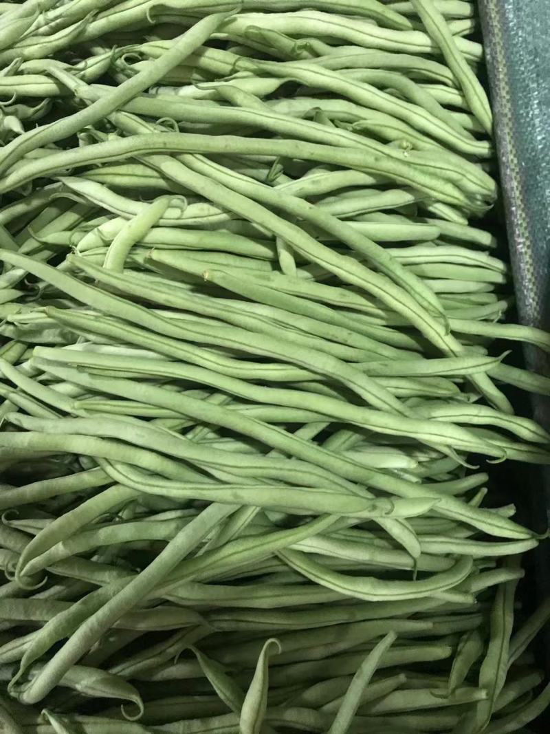 云南，精品豆王