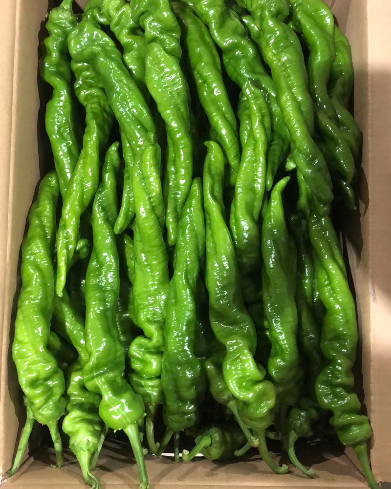 螺丝椒，黄皮，线椒