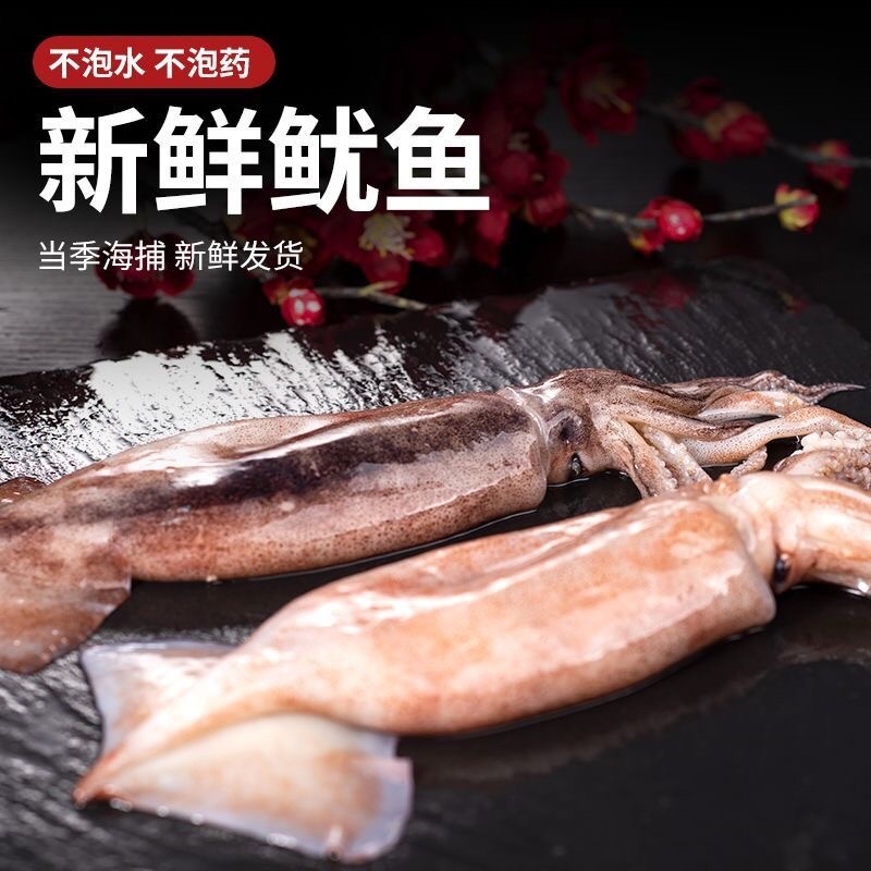 新鲜大鱿鱼冷冻发货水产鱿鱼整只烧烤食材尤鱼批发