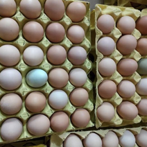 精品双色土鸡蛋，日捡日发，全国各地发货，量大从优