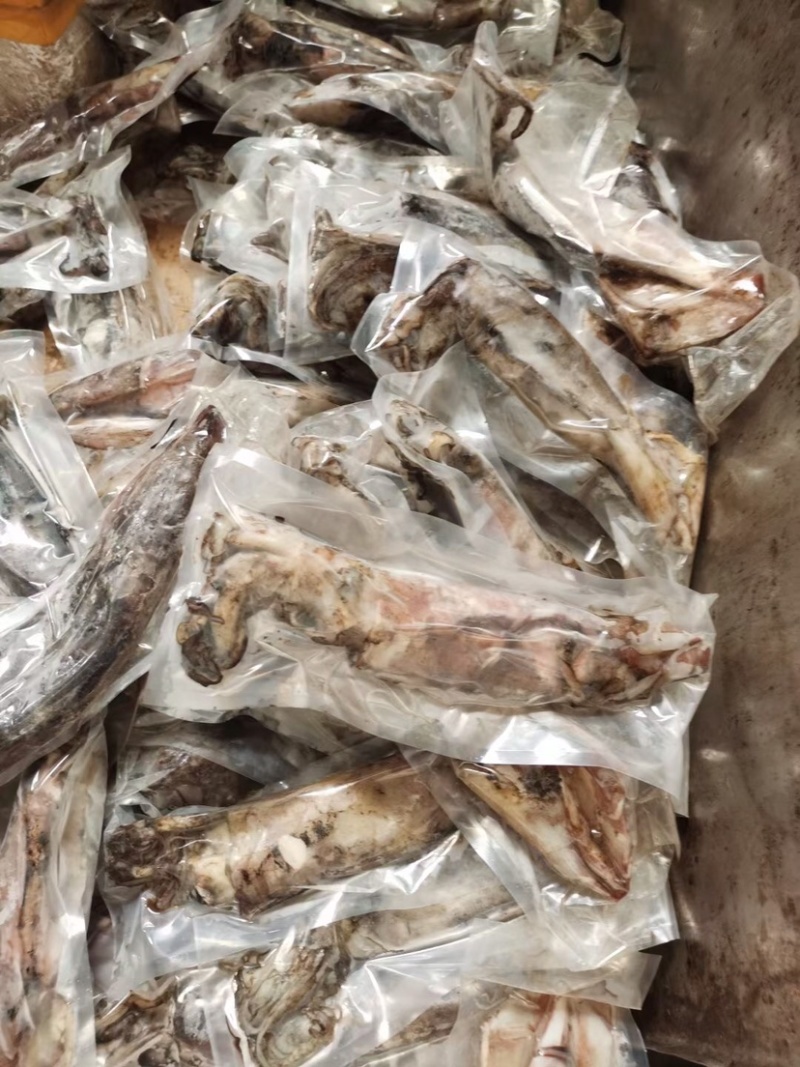 新鲜大鱿鱼冷冻发货水产鱿鱼整只烧烤食材尤鱼批发