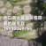 新三号大白菜有货有需要的联系我