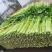 芹菜安徽精品芹菜大中小棵产地直供保质保量代发全国