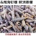 鲜活去尾钉螺水产海鲜螺丝锥螺一整箱海鲜批发捞汁