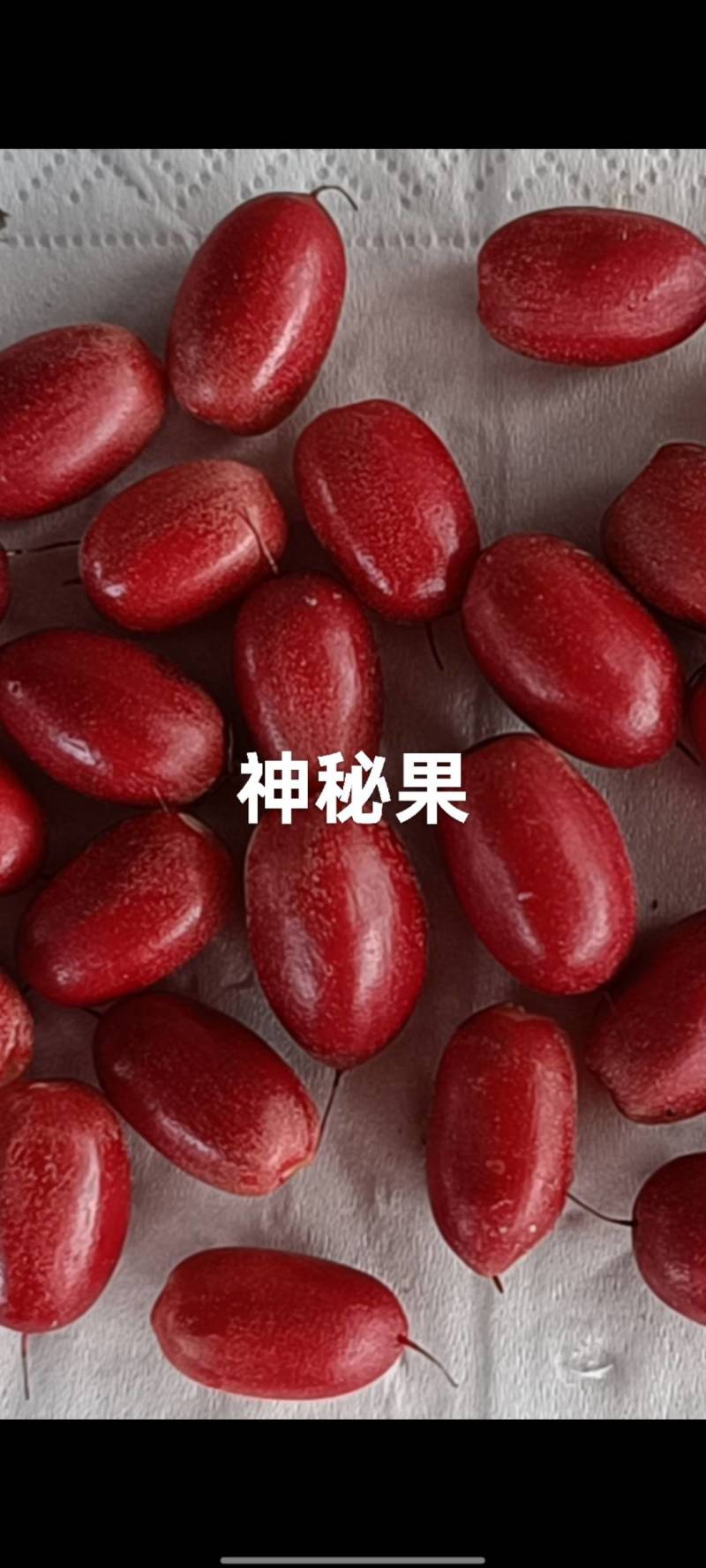 神秘果，正在卖