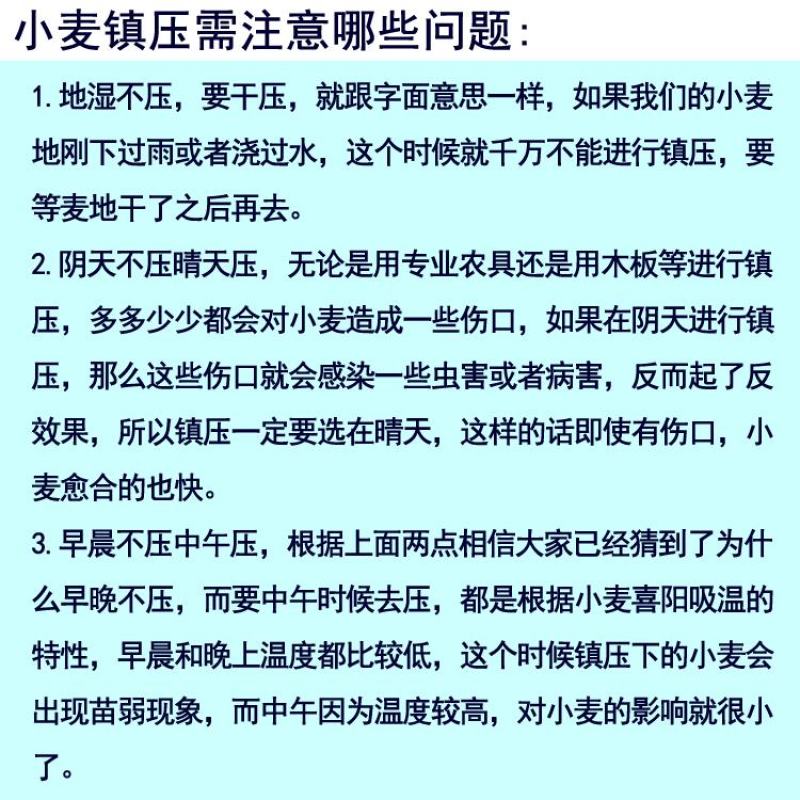 小麦镇压器拖拉机带的铸铁镇压器小麦保墒镇压麦子压地