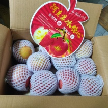 新疆阿克苏苹果（浙江杭州）