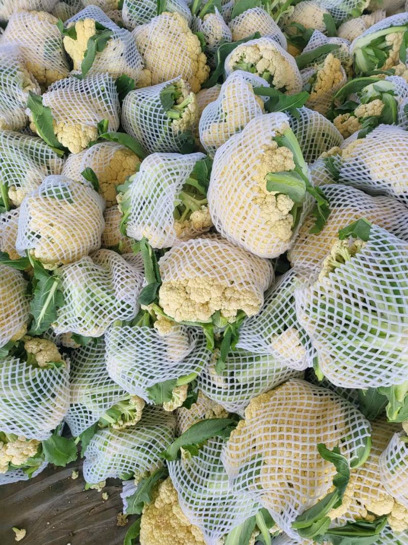 花菜精品青耿白面小米粒有机花菜货源充足代收代发全国