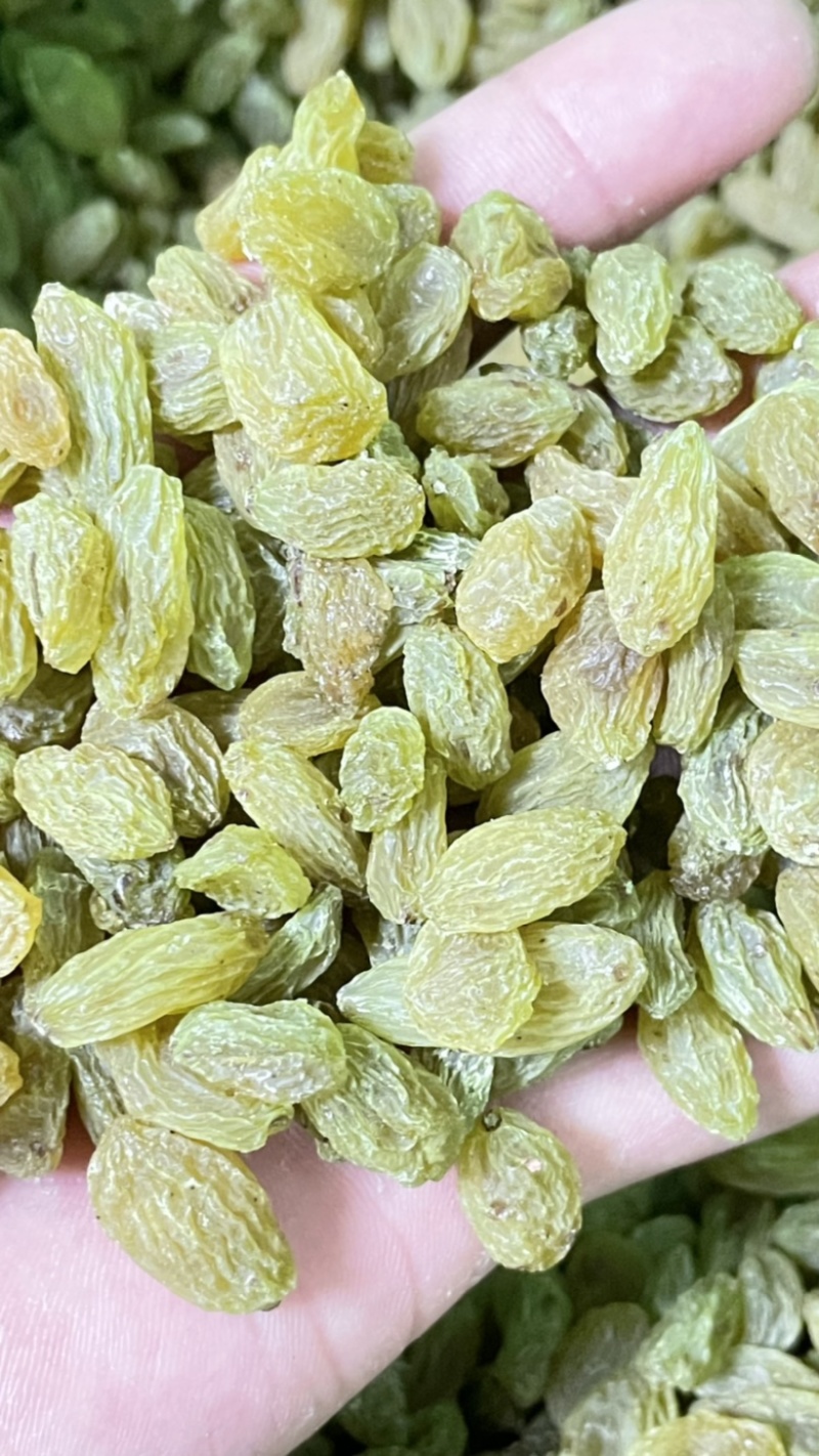 中绿无核白葡萄干