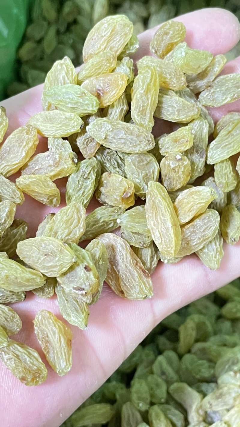 中绿无核白葡萄干