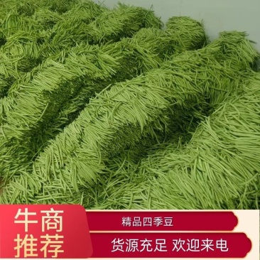 云南四季豆小金豆，电商到精品各种豆类！量大从优，欢迎订购