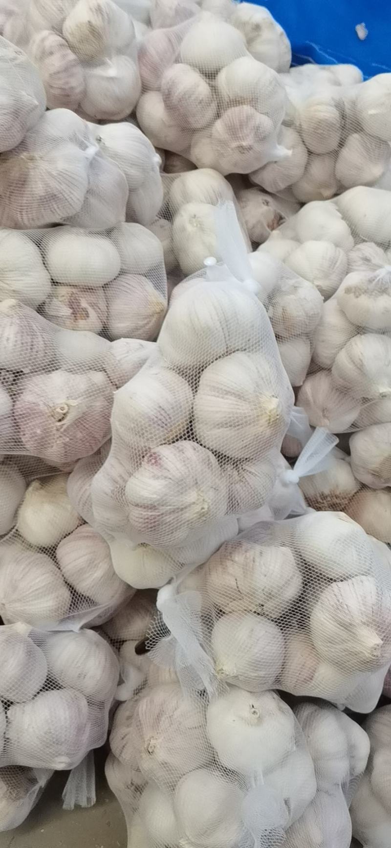 精品大蒜，通货，欢迎电商超市前来采购，以质量求生存，