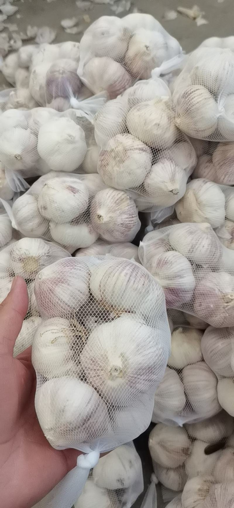 精品大蒜，通货，欢迎电商超市前来采购，以质量求生存，
