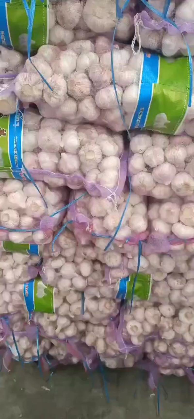 金乡精品大蒜，太空大蒜！诚信互赢！