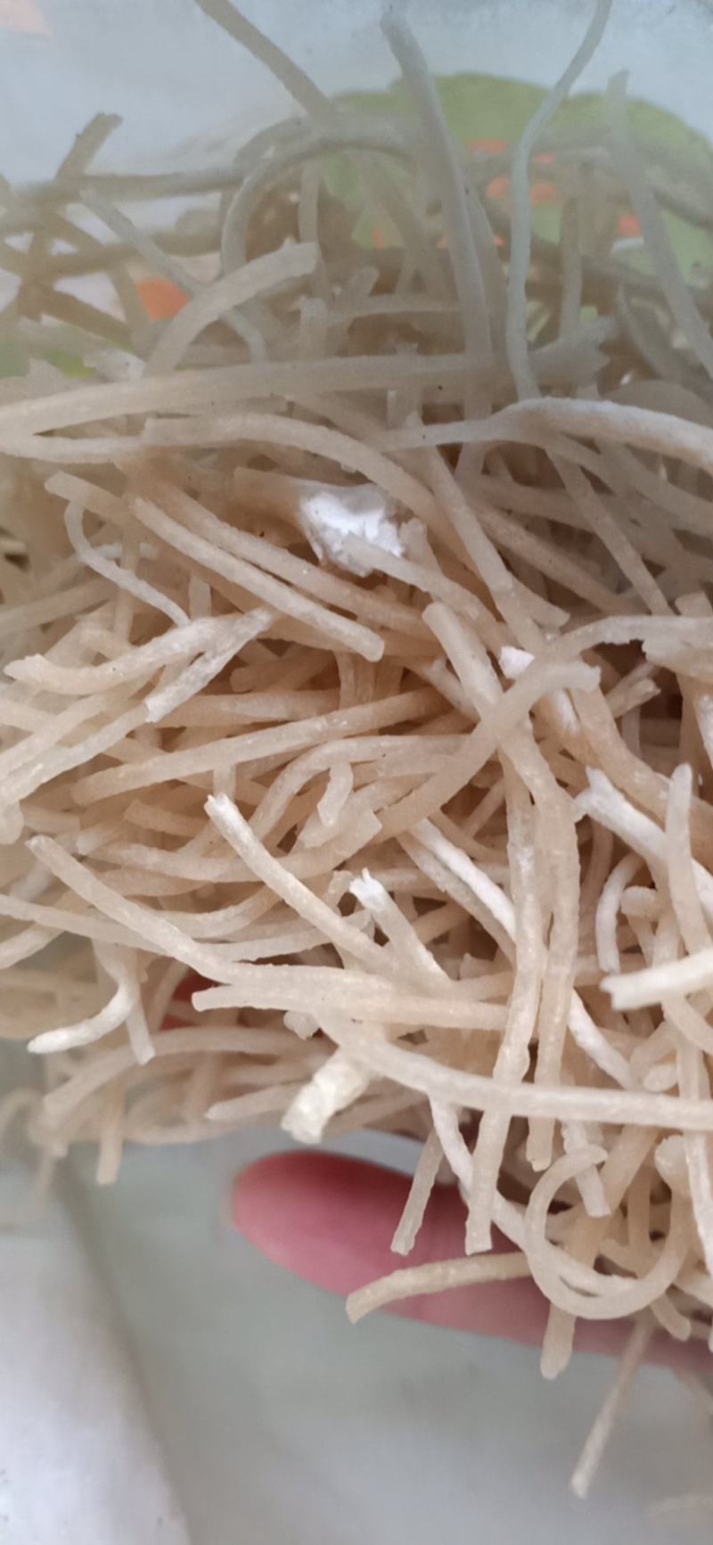 红薯粉丝农户自产自销产地直发包装好不碎，欢迎订购不买吃亏