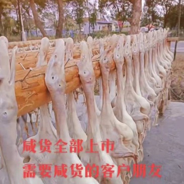咸鸭