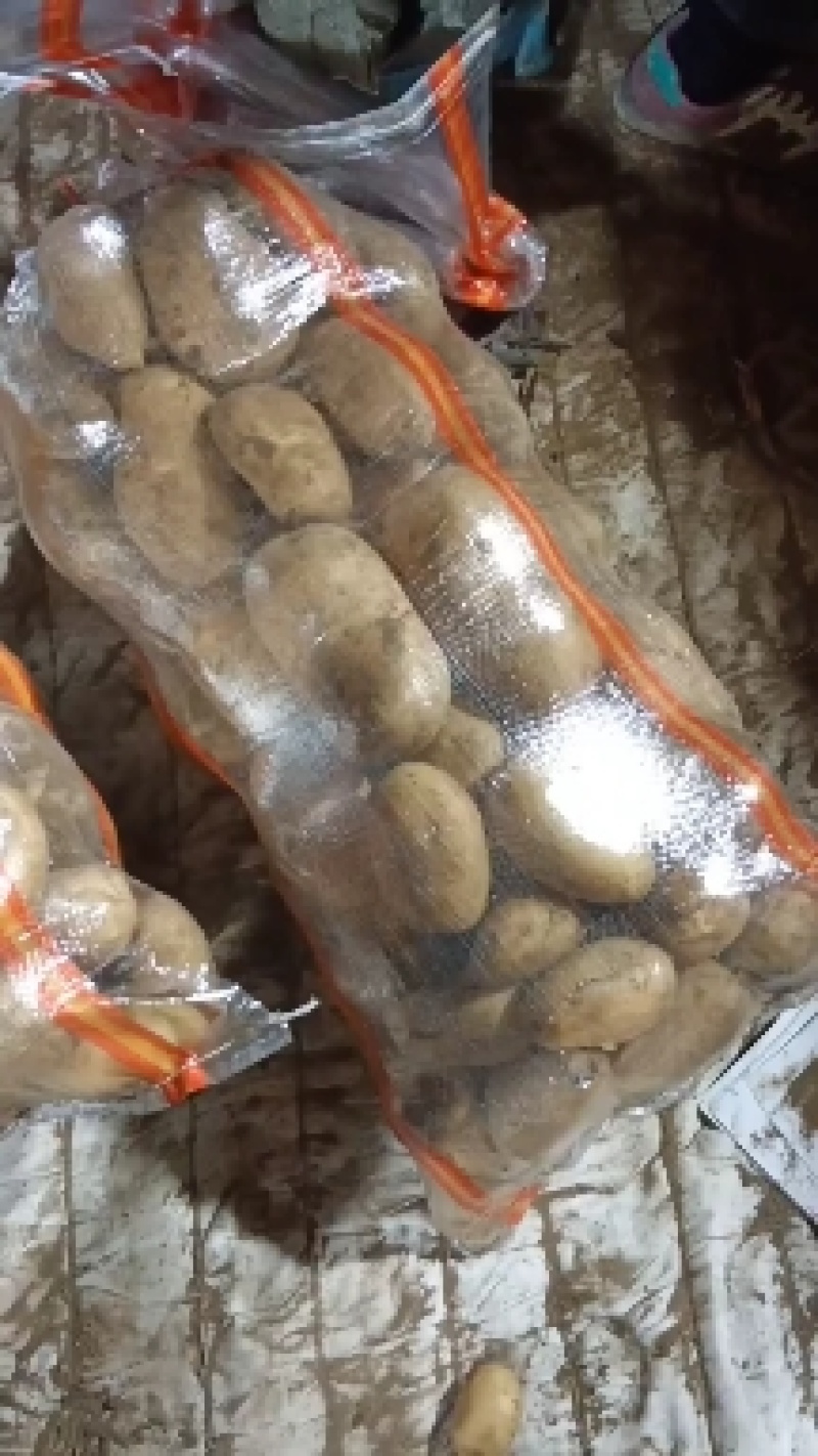 【实力代办】围场土豆产地一手货源V7希森黄皮品种齐全对接超市
