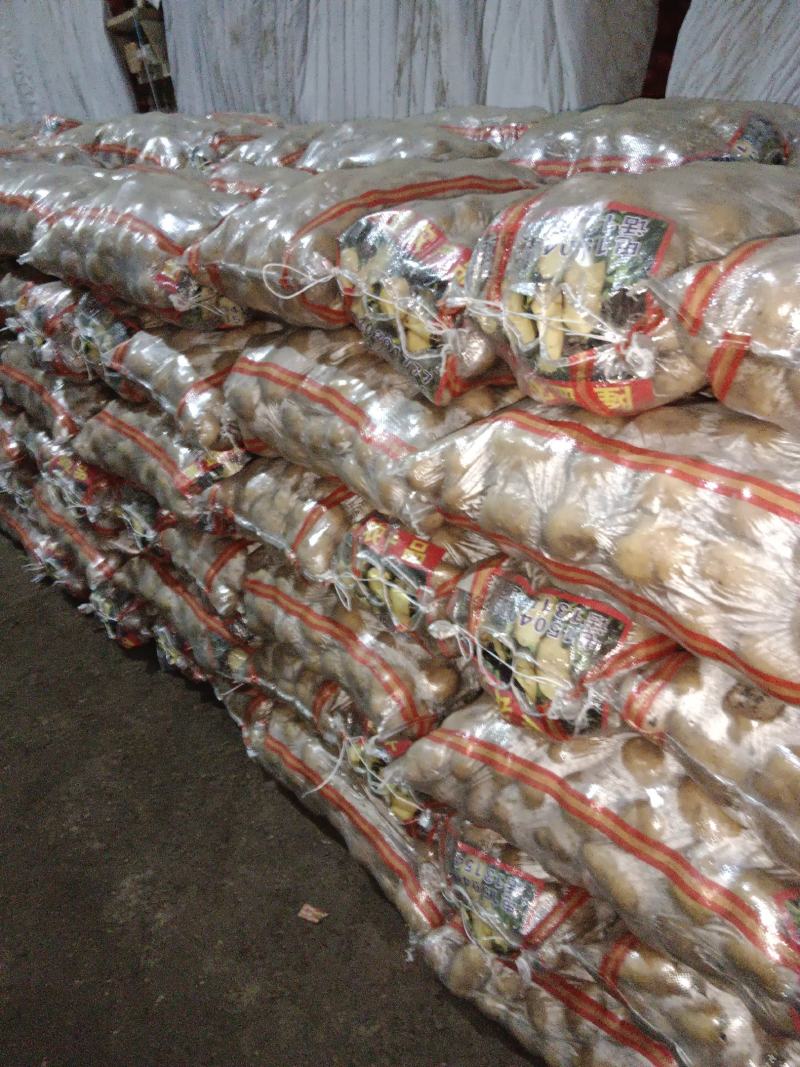 【实力代办】围场土豆产地一手货源V7希森黄皮品种齐全对接超市