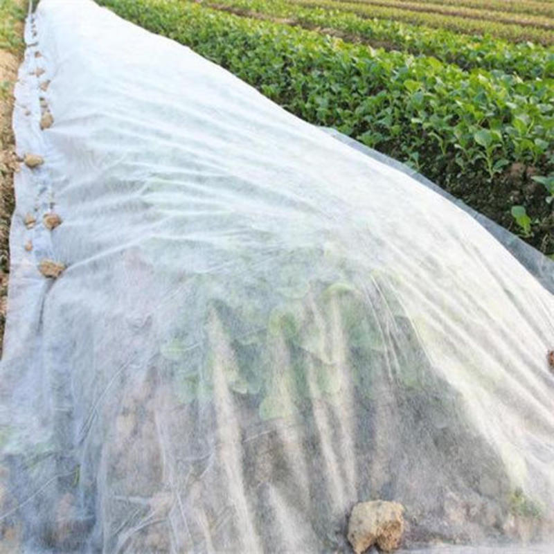 【复购高】无纺布保湿保温透水透气育苗专用绿化盖土