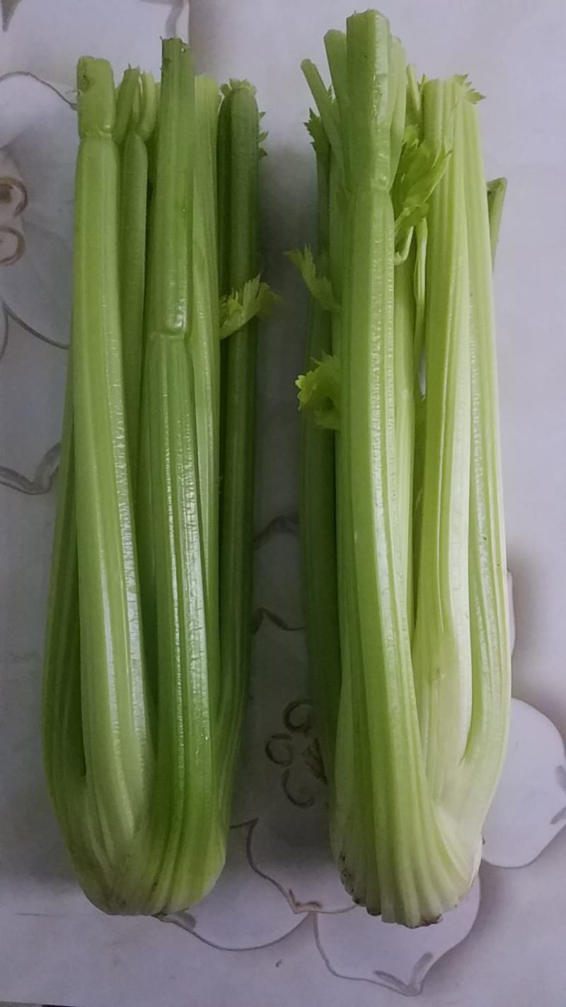 精品大颗西芹无丝