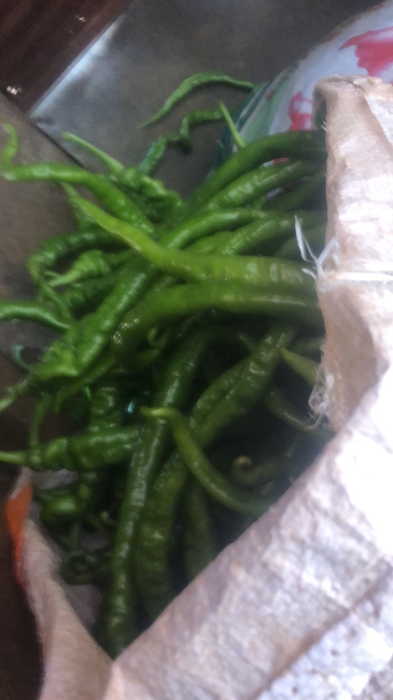 便宜辣椒螺丝线需要的老板就联系谢谢