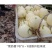 鼎牌雪奶香1号甜瓜种子，早熟薄皮，脆甜中有点奶味