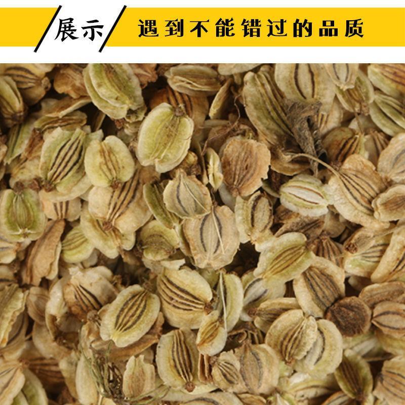 白芷种子白芷野生植物种子东北奇花异草植物种苗种子四季易活