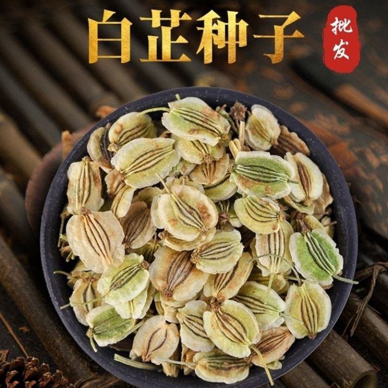 白芷种子白芷野生植物种子东北奇花异草植物种苗种子四季易活