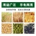 电动风车家用风选机两用粮食杨场机小型农用多功能筛选机分选