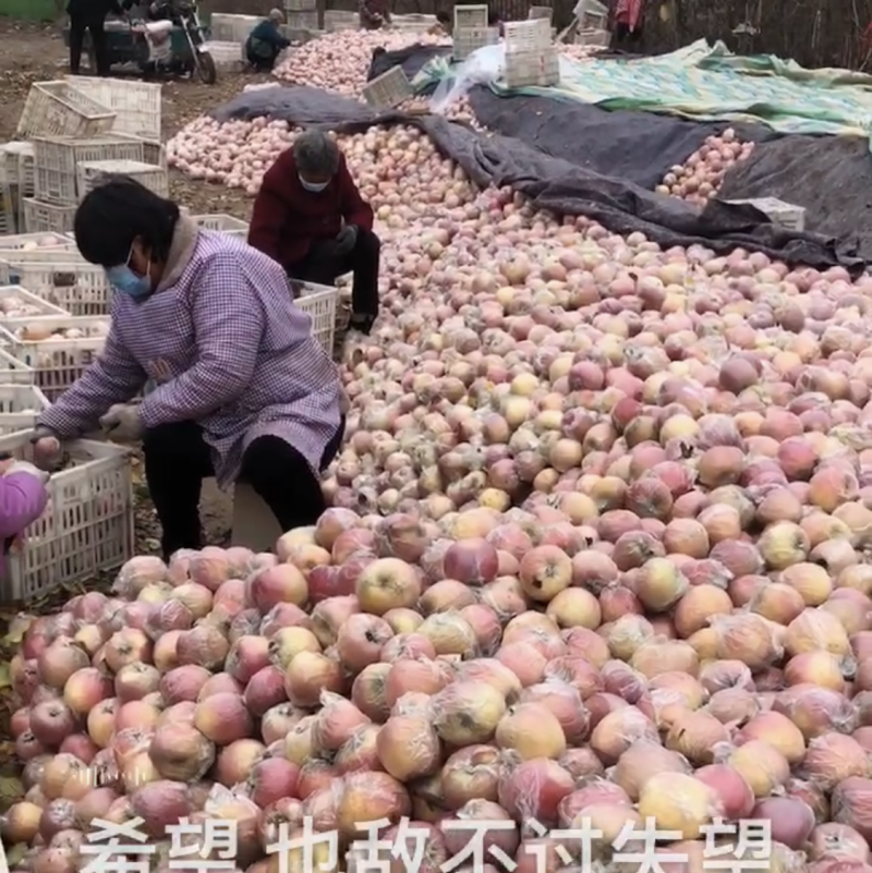 精品富士