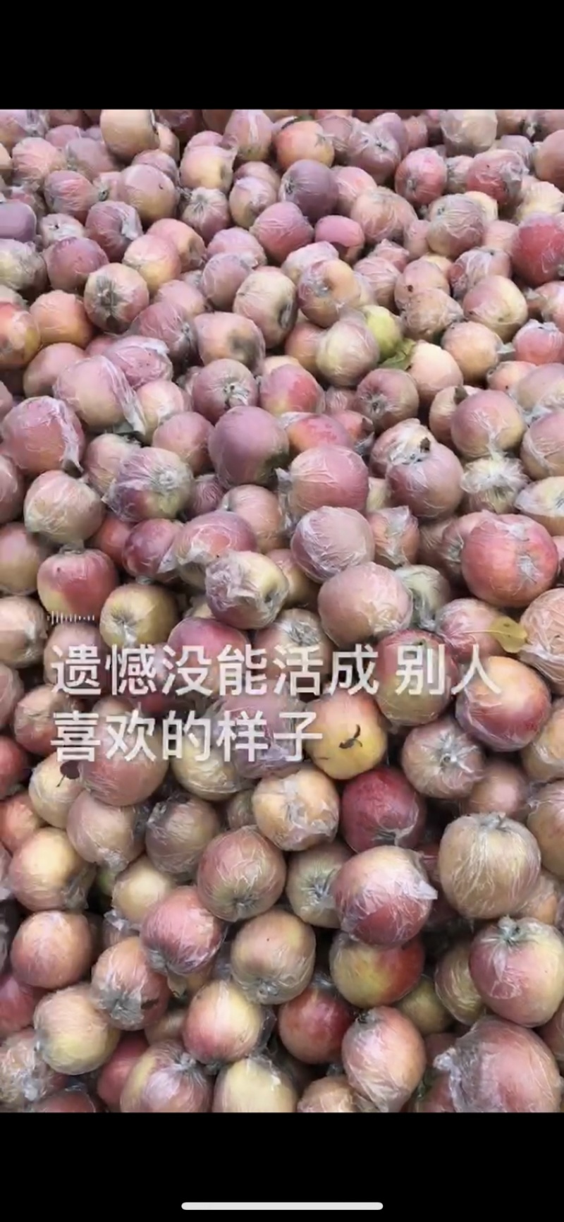 精品富士