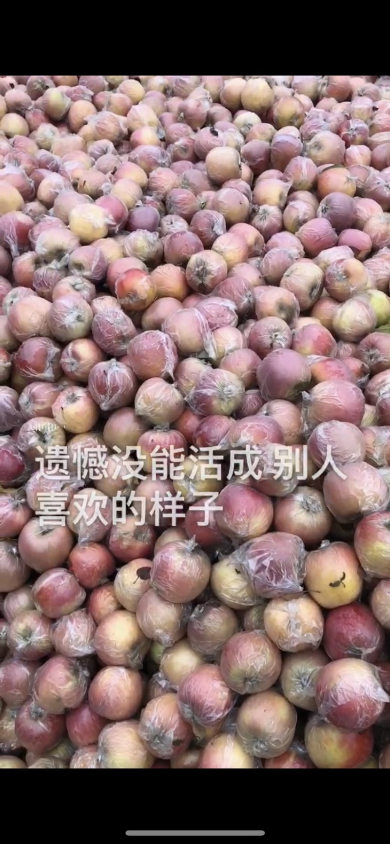 精品富士