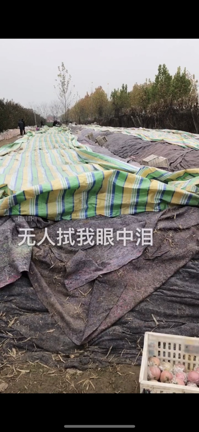 精品富士