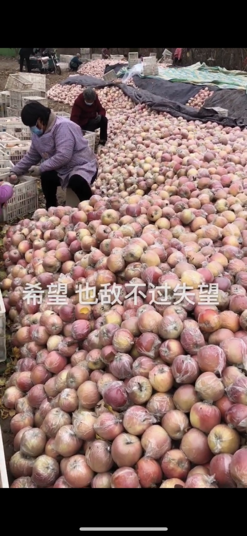 精品富士