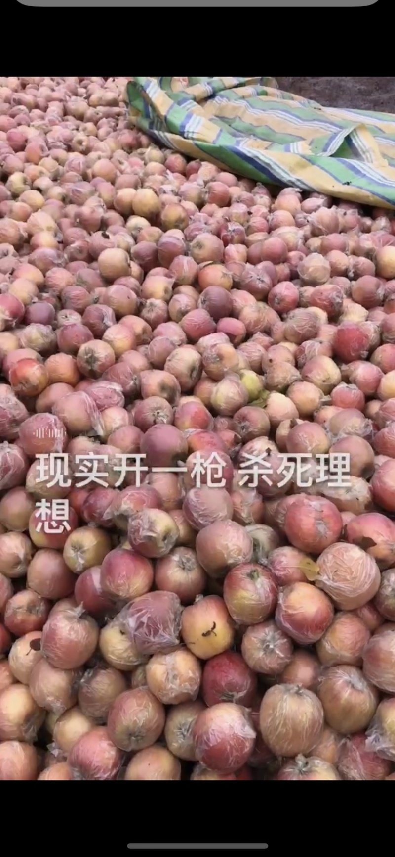 精品富士