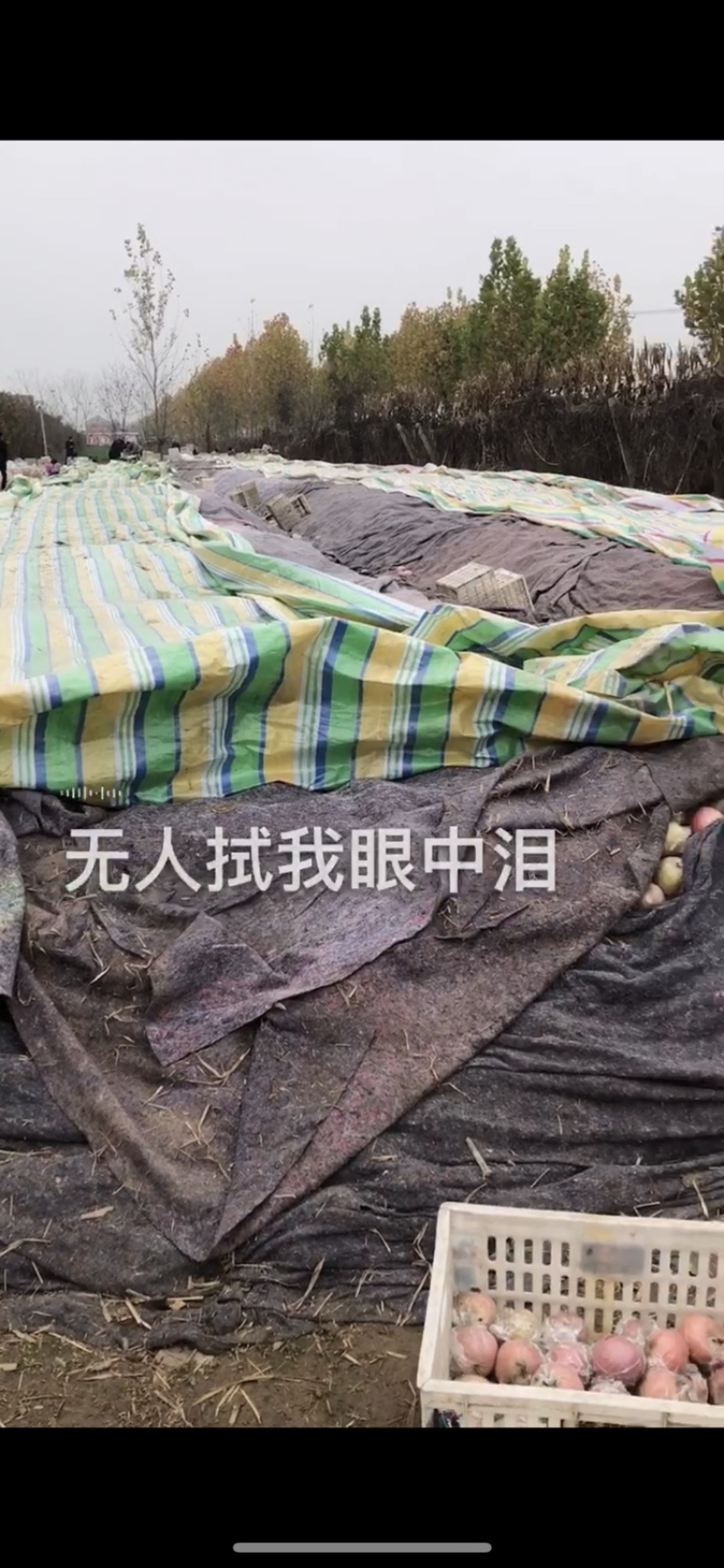 精品富士