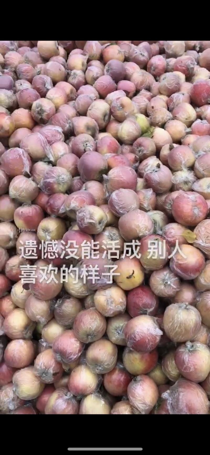 精品富士