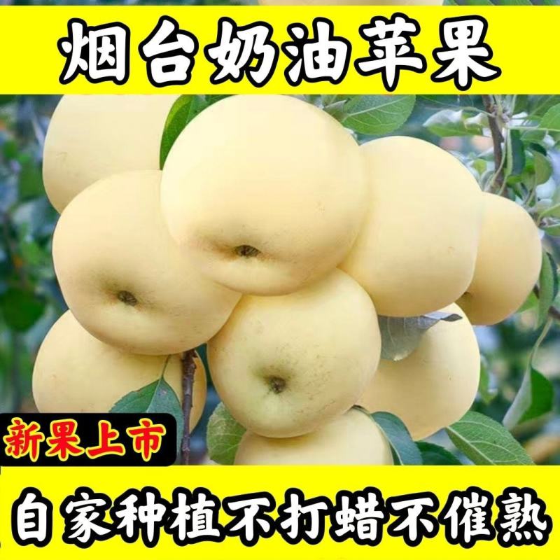 电商代发正宗黄金奶油富士礼盒山东烟台供糖心脆甜对接全渠道