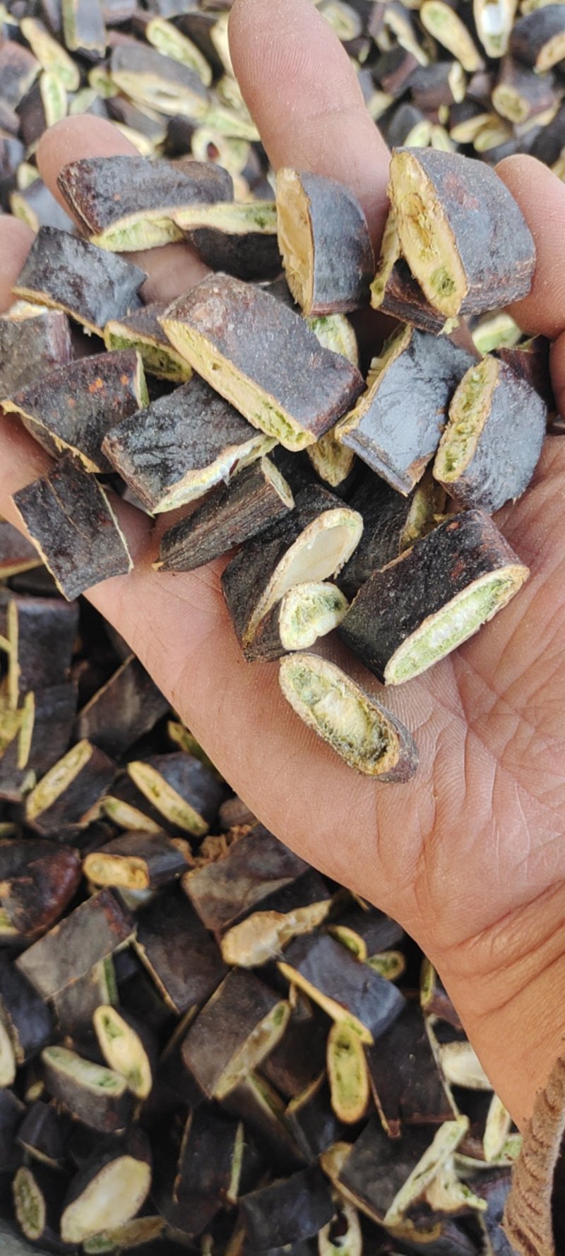 皂角皂荚产地直发手工剪段一手货源质量保证
