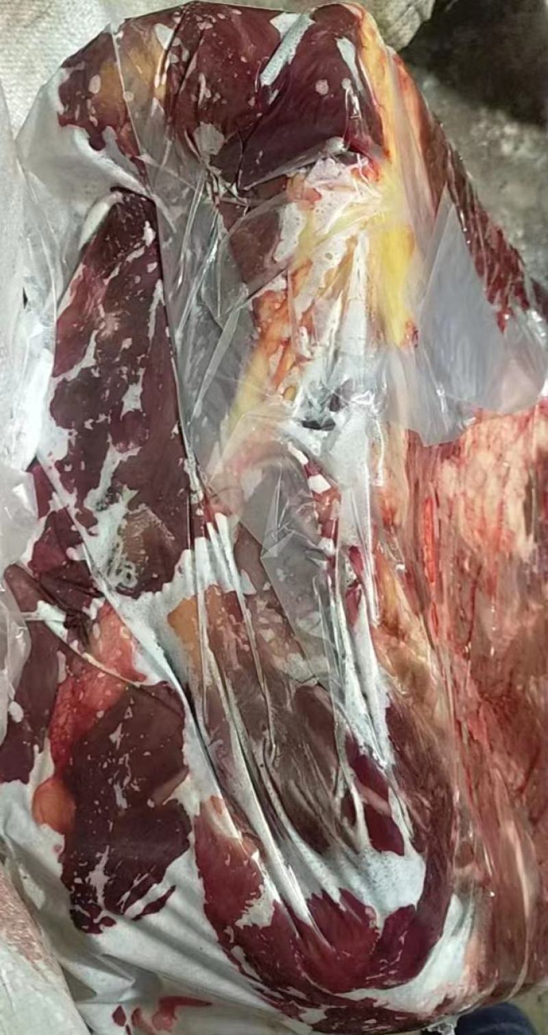 蒙古马肉，纯干，内蒙包头发