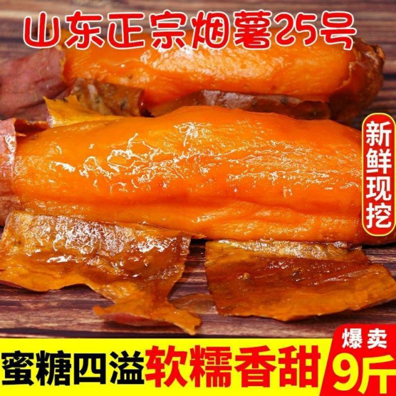 正宗烟薯25，紫薯，板栗薯一件代发糖心流油