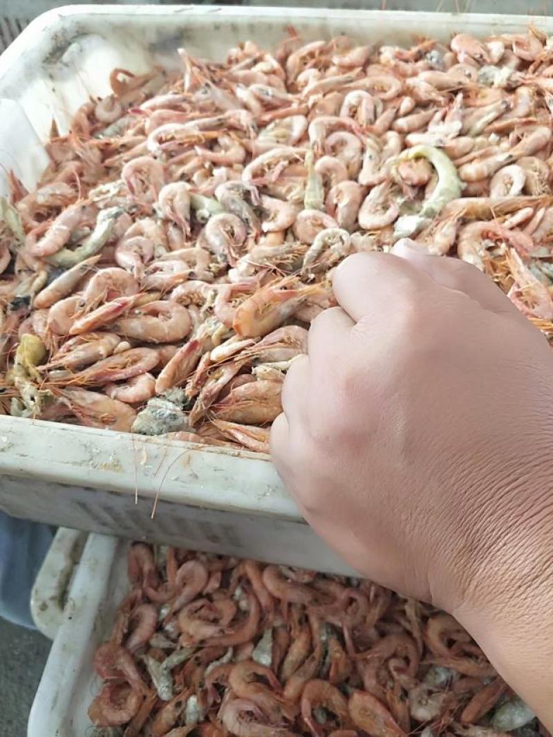 海产品虾皮海虾