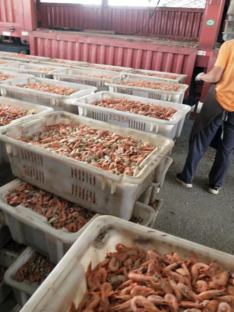 海产品虾皮海虾
