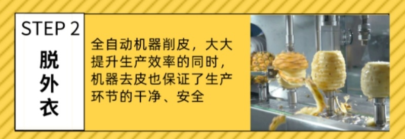 鲜切菠萝厂家直供香水小菠萝迷你去皮小菠萝