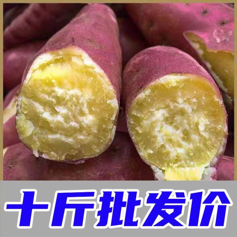 板栗薯农家自种板栗薯新鲜红薯一件代发济薯26烟薯