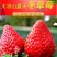 大凉山露天种植冬草莓，颜色红亮，香味足。