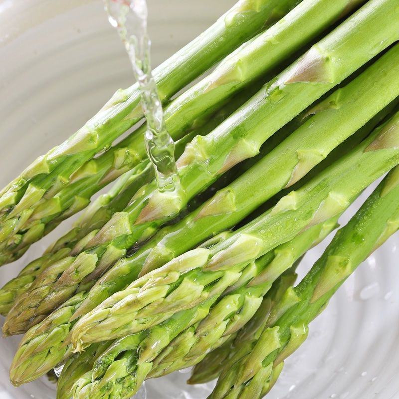 芦笋苗芦笋根苗庭院阳台盆栽绿植批发蔬菜苗三年苗四季种植