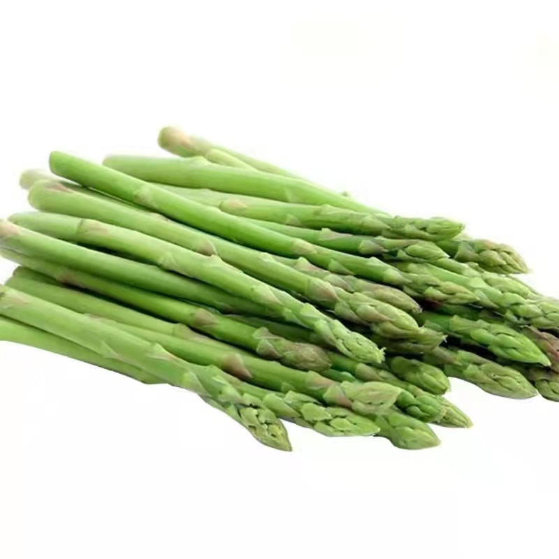 芦笋苗芦笋根苗庭院阳台盆栽绿植批发蔬菜苗三年苗四季种植