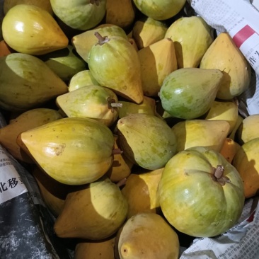 鸡蛋果蛋黄果